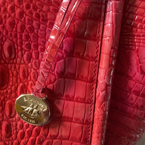 The love of a Bold Brahmin! A gorgeous coral bag, Wow! - Picture 6 of 13